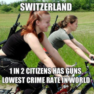 Armas Suíça Switzerland guns switzerland-guns