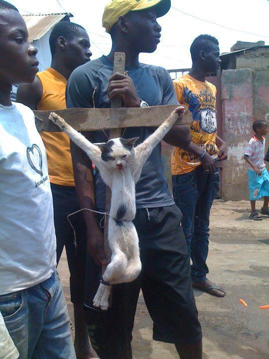 Muslim-Nigeria-Cat-Crucifixion