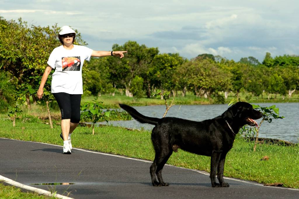 Dilma Rousseff e seu ex-cachorro labrador Nego, enviado ao sacrifício da eutanásia