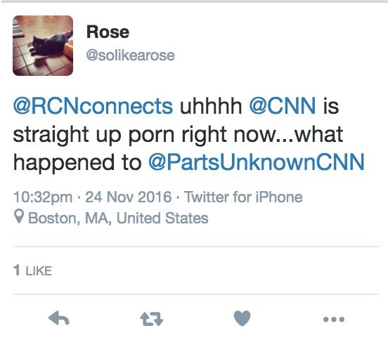 Rose assiste pornografia na CNN acidentalmente. 