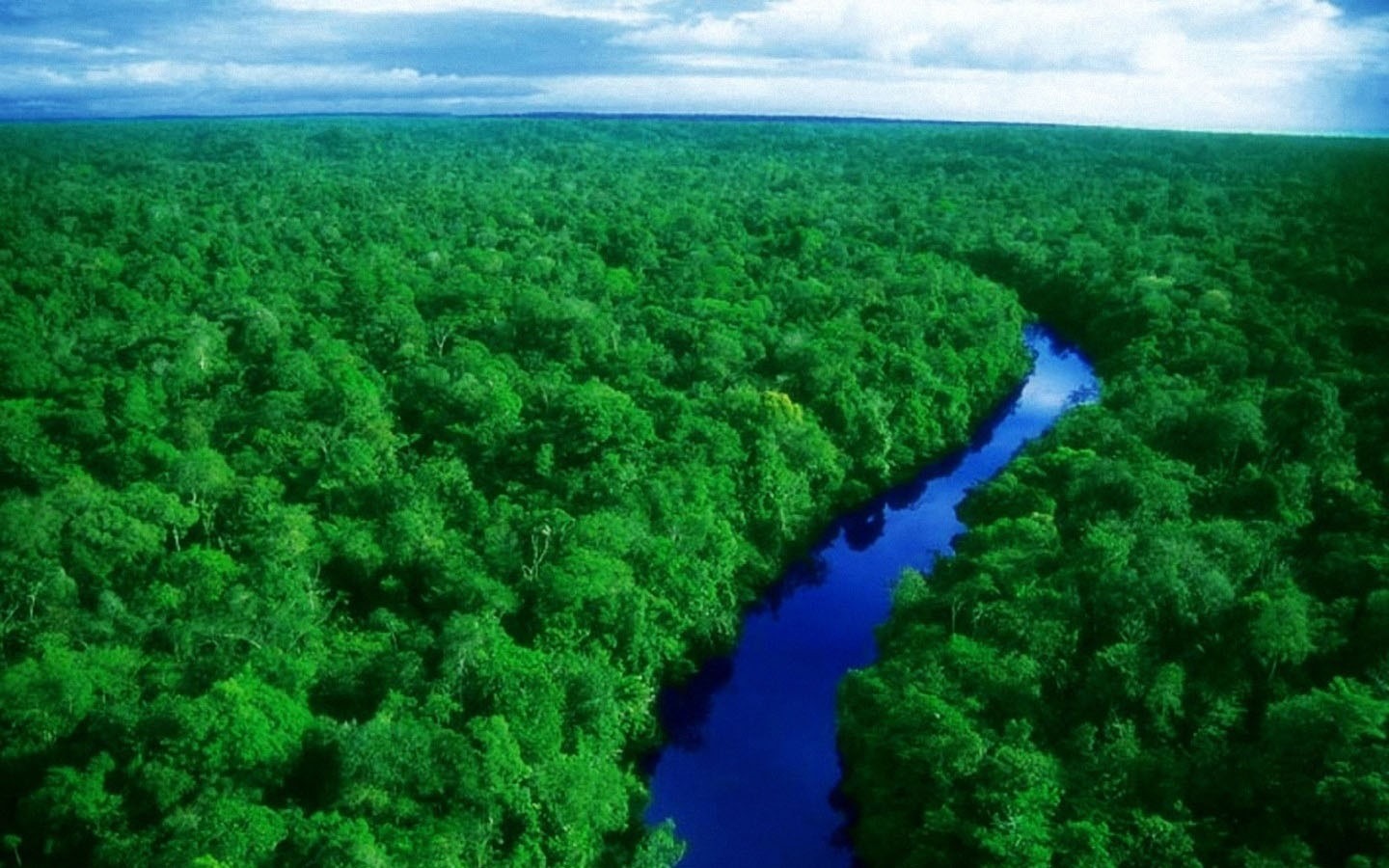 Floresta-Amazônica