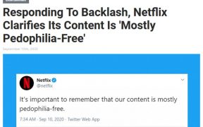 Site humorístico diz que Netflix tem conteúdo "quase todo livre de pedofilia." Piada do site Babylonbee sugere que Netflix possui conteúdo com pedofilia. De tão verossímil, agência de fact-checking correu para "desmentir" o chiste.